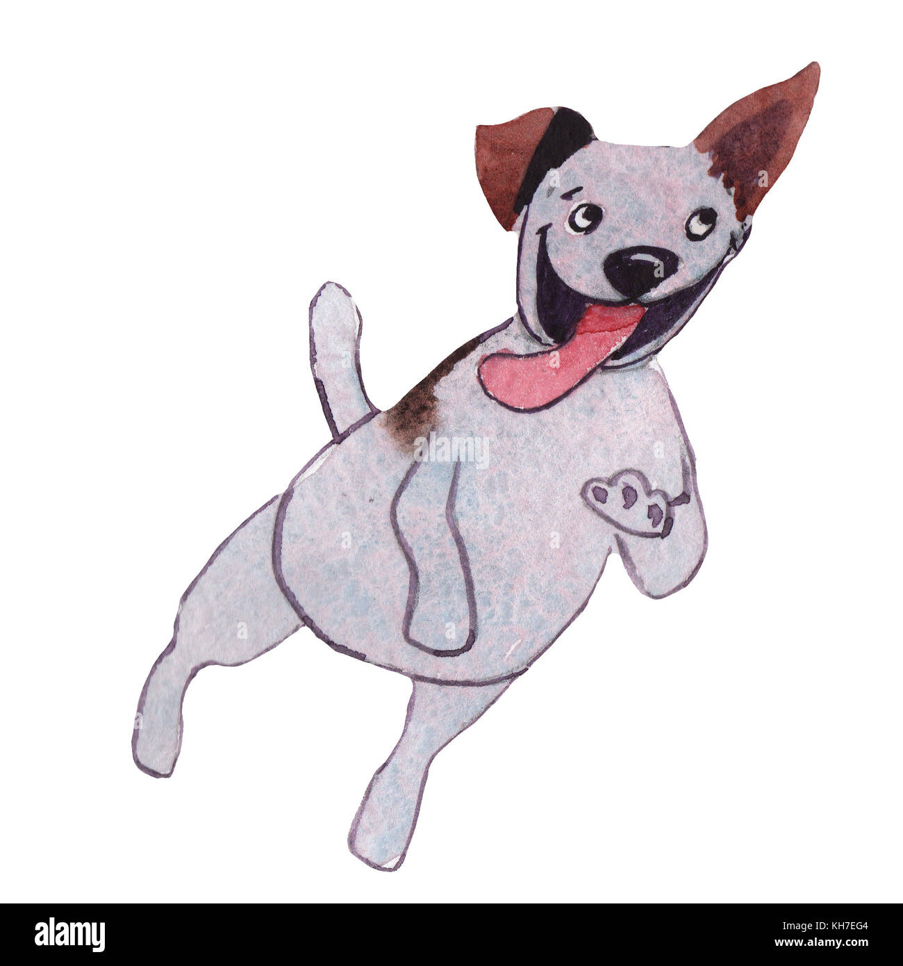 Jackrussel terrier cucciolo di cane del disegno a mano illustrazione ad acquerello Foto Stock