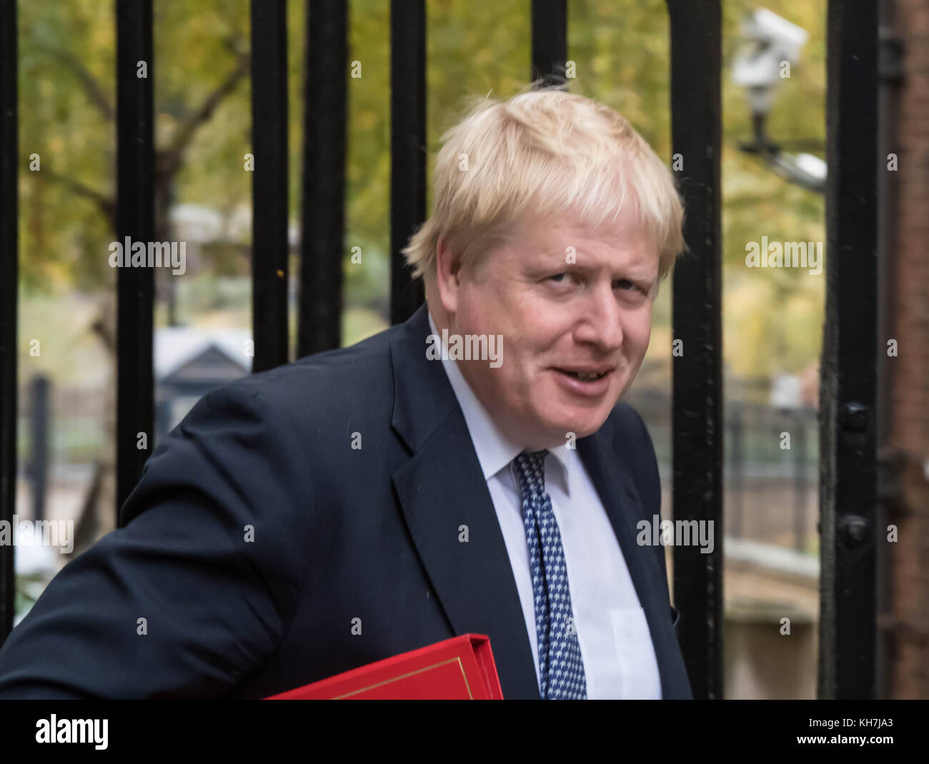 Londra, Regno Unito. Xiv nov, 2017. Boris JOHNSON Ministro degli esteri arriva a Downing Street per un armadio per la riunione del comitato di credito: Ian Davidson/alamy live news Foto Stock