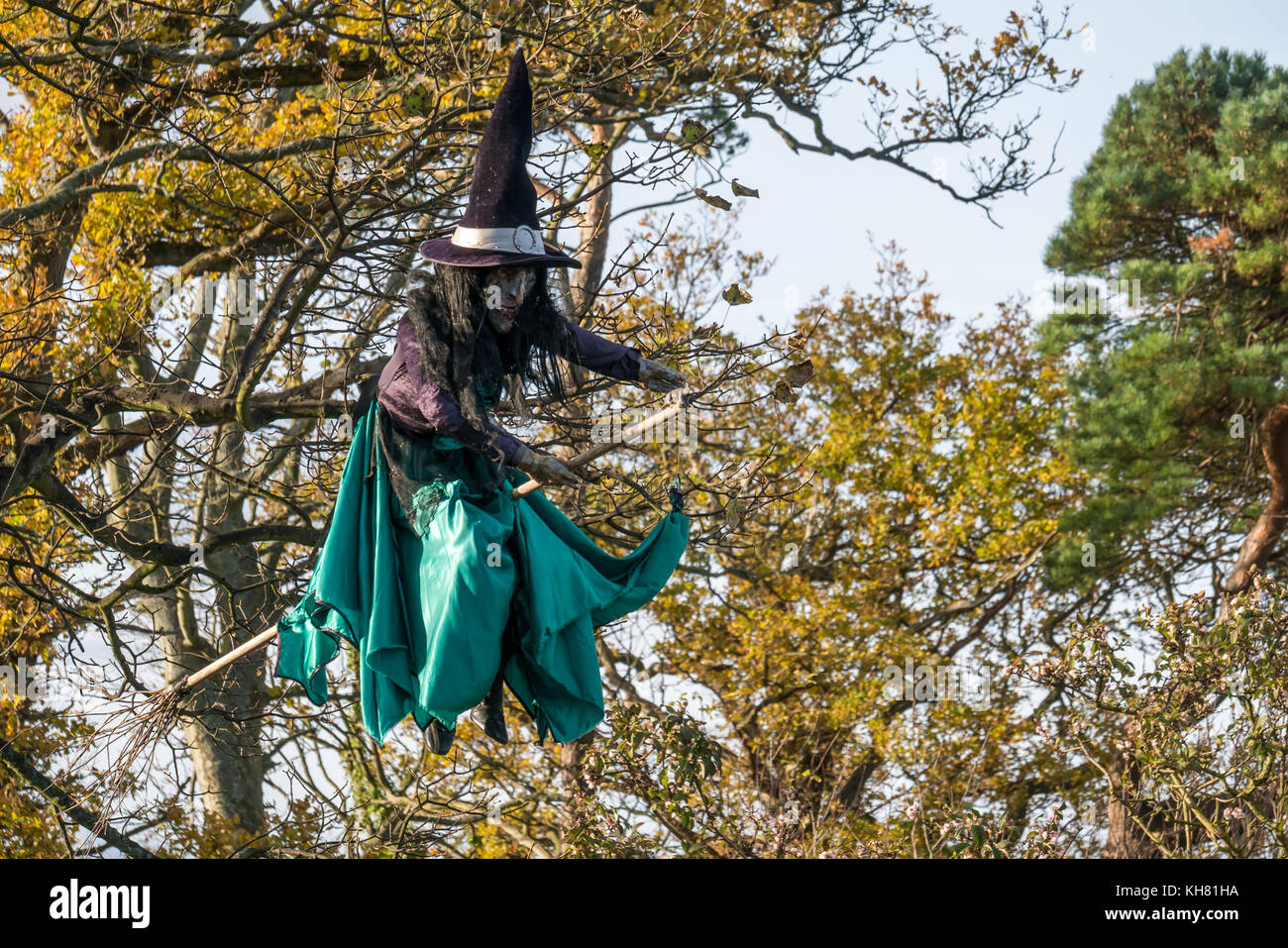 Scary battenti strega sulla scopa, decorazione appeso a un albero per la festa di Halloween, a Aberlady, East Lothian, Scozia, Regno Unito Foto Stock