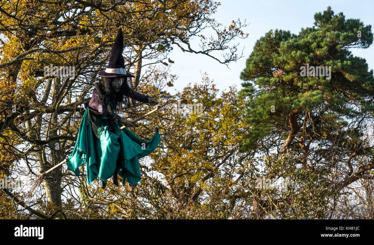 Scary battenti strega sulla scopa, decorazione appeso a un albero per la festa di Halloween, a Aberlady, East Lothian, Scozia, Regno Unito Foto Stock