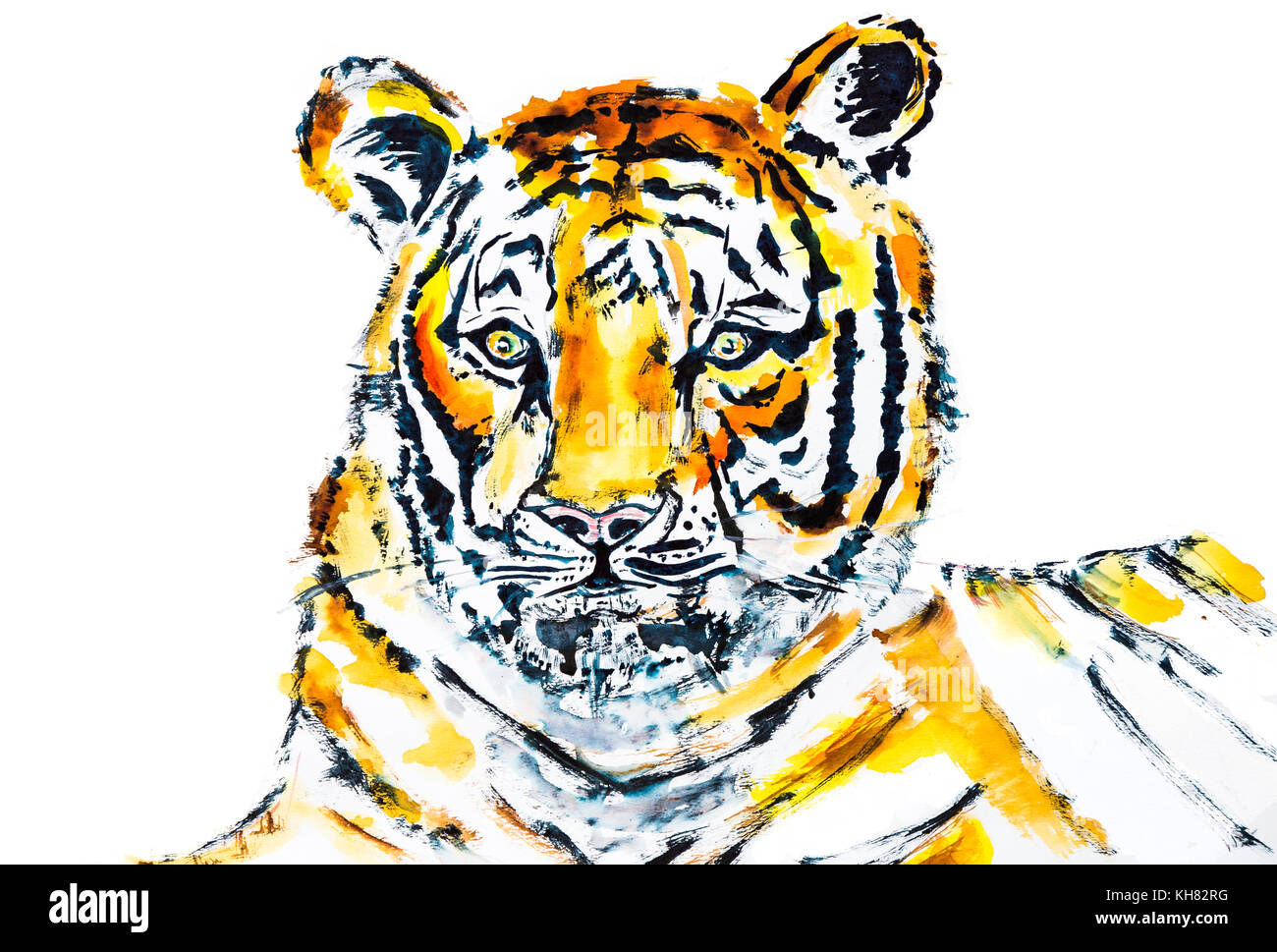 Tiger testa e spalle ritratto su uno sfondo bianco per intaglio in un stile acquarello dipinto Foto Stock Tiger testa e spalle ritratto su uno sfondo bianco per intaglio in un stile acquarello dipinto Foto Stock