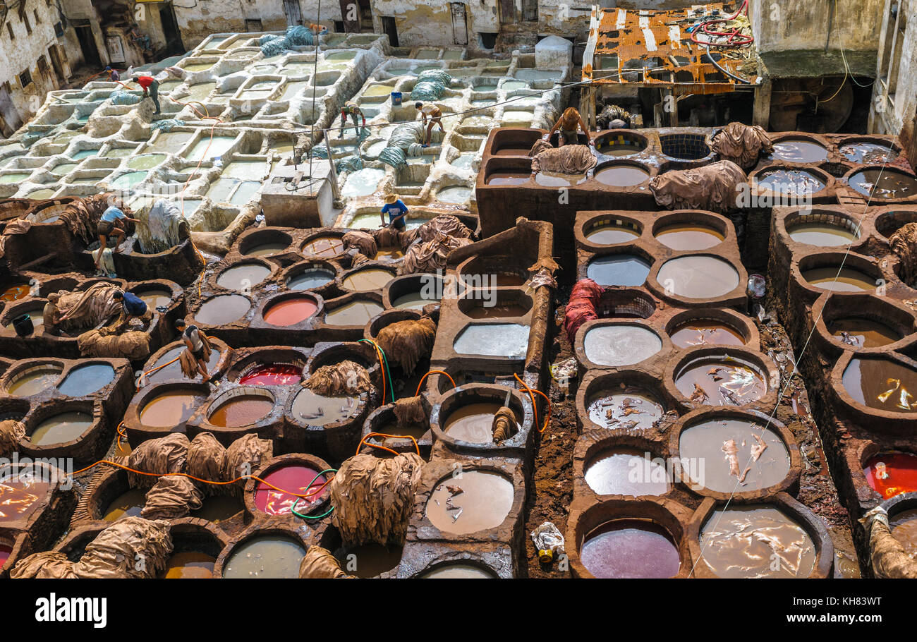 La conceria di Fez, Marocco Foto Stock