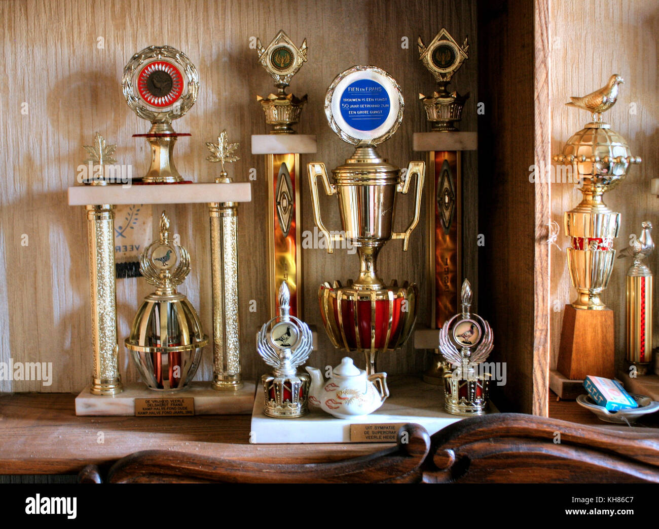 Belgio: HAUNTING immagini hanno rivelato una notevole collezione di trofei in una casa abbandonata che sembra come se essa è stata congelata nel tempo. La seri Foto Stock
