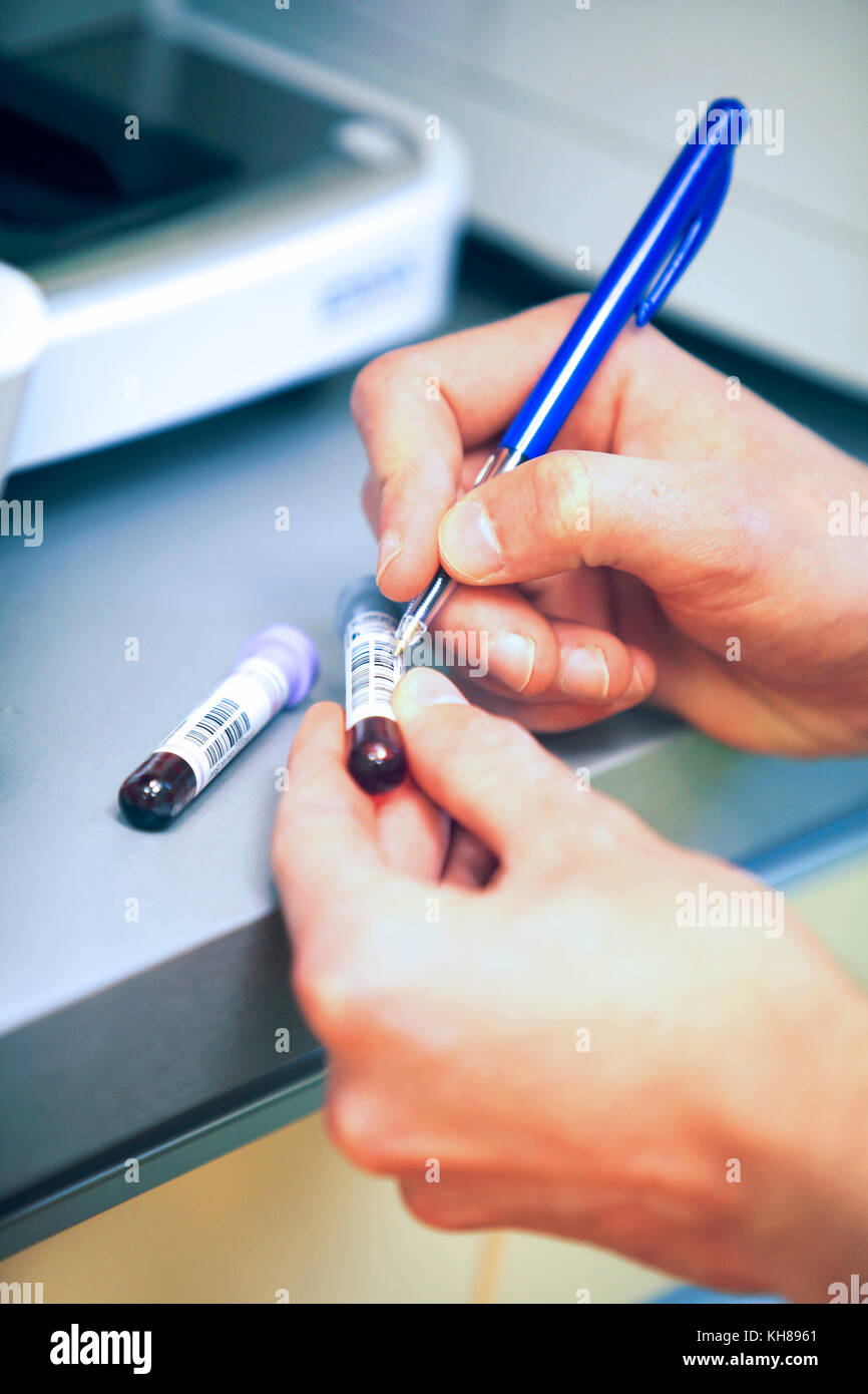Francia, clinica veterinaria. sangue. Foto Stock