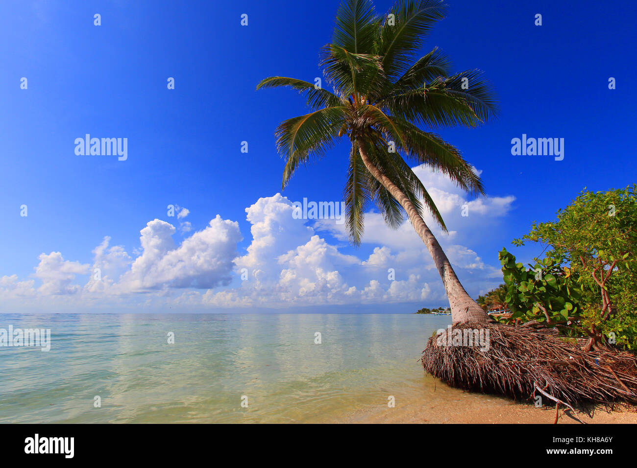 Messico, quintana roo. costa maya. mahahual. spiaggia. Foto Stock