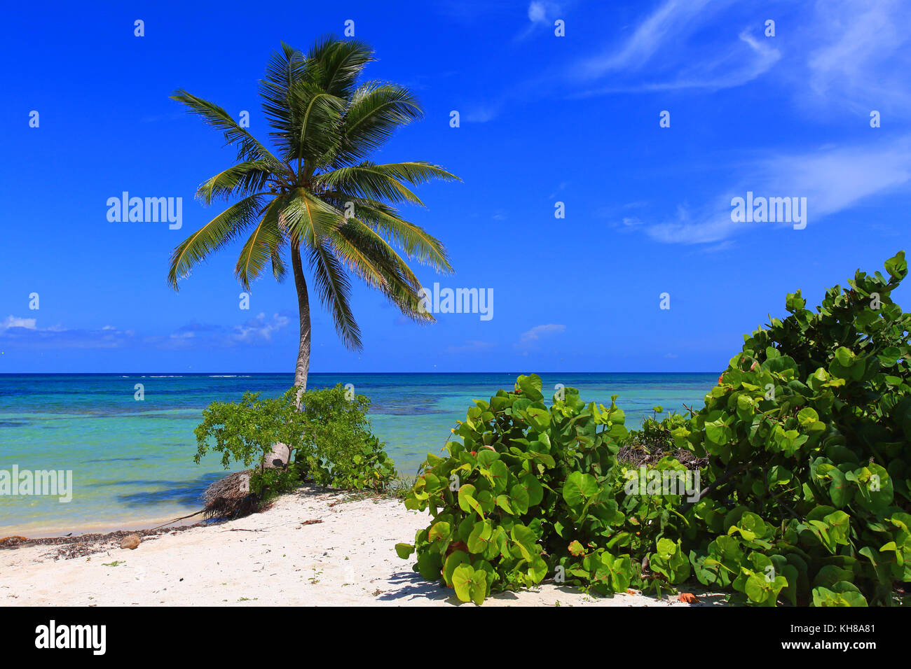 Messico, quintana roo. costa maya. mahahual. spiaggia. Foto Stock