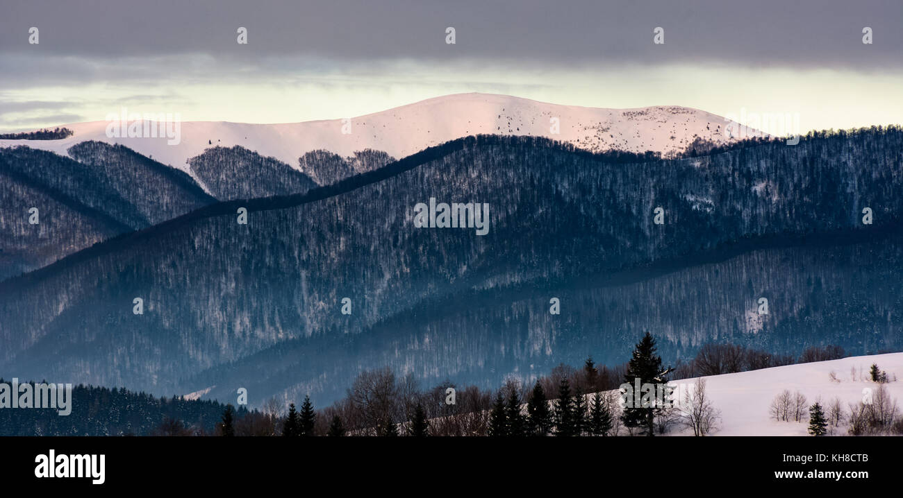 Boscoso crinale montuoso con cime innevate all'alba. bellissimo paesaggio naturale in inverno Foto Stock