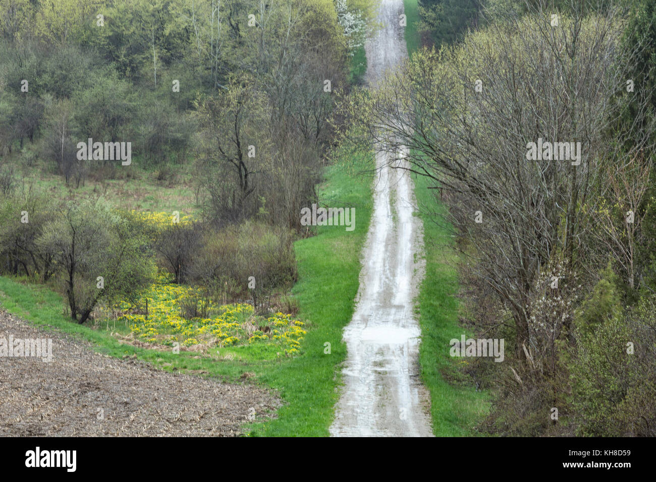 Palla di linea, huron county, Ontario, in primavera. Foto Stock