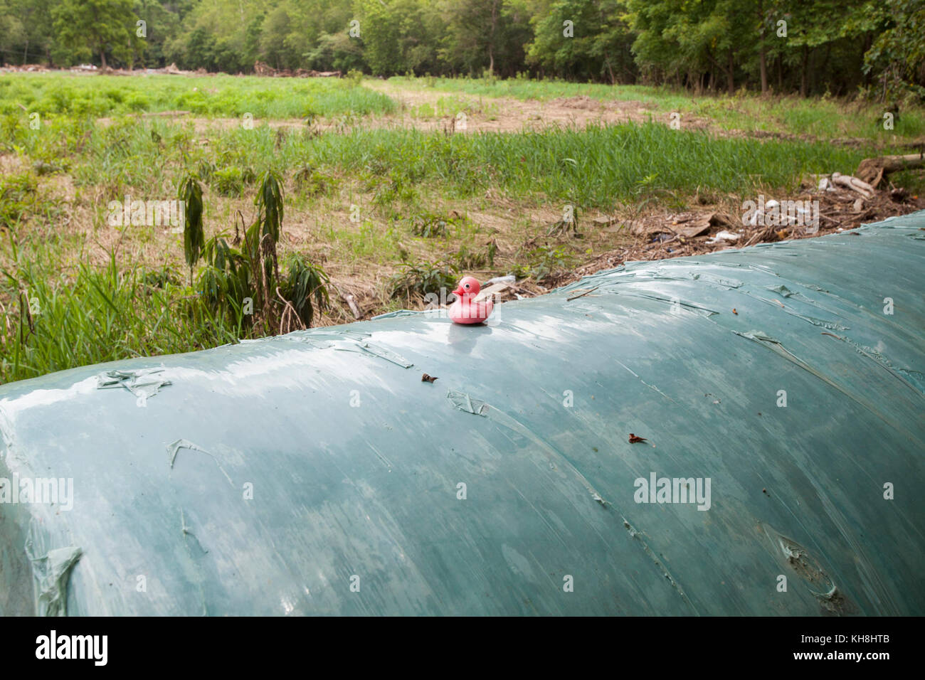 Recenti alluvioni ad ampia diffusione sono la causa di un aumento delle applicazioni per gli Stati Uniti Department of Agriculture (USDA) Food and Nutrition Service (FNS) Disaster - Supplemental Nutrition Assistance Program (D-SNAP) benefici, vicino a Lewisburg, WV, il 28 luglio 2016. I ruscelli sorsero sopra le sue rive e lavarono via auto e camion, lasciando relitti metallici attorcigliati e manglati. Dove c'era spazio, gli equipaggi li portarono ai punti di raccolta per poi essere rimossi. Le case sommerse sono state lasciate libere dopo i tentativi di mostrare di rimuovere fango, limo e detriti. USDA Foto di Steve Ausmus. Foto Stock