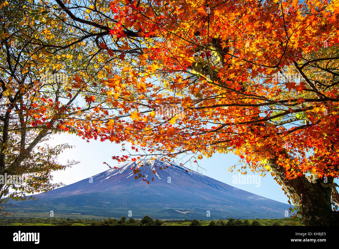Il Mt.fuji in autunno su sunrise al lago kawaguchiko giappone. Il monte Fuji Foto Stock
