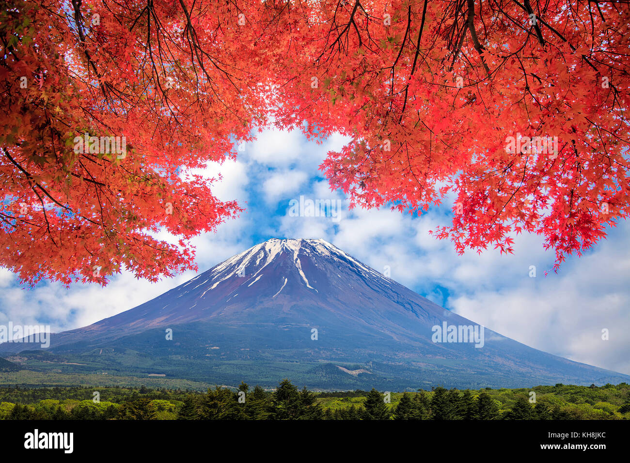Il Mt.fuji in autunno su sunrise al lago kawaguchiko giappone. Il monte Fuji Foto Stock