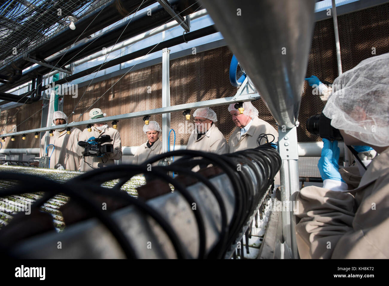 Lēf il Presidente e CEO di Farms Henry Huntington dirige il Segretario del Dipartimento dell'Agricoltura degli Stati Uniti (USDA) Sonny Perdue, E parla del sistema automatizzato di micro irrigazione che assicura che ogni gruppo di grondaie con verdi frondosi ottenga la giusta quantità di acqua quando arriva nella serra, durante un tour del sistema idroponico controllato di precisione, a Loudon, NH, il 1 settembre 2017. Inoltre nel tour è il Commissario per l'Agricoltura del New Hampshire Lorraine Stuart Merrill. USDA Foto di Lance Cheung. Foto Stock