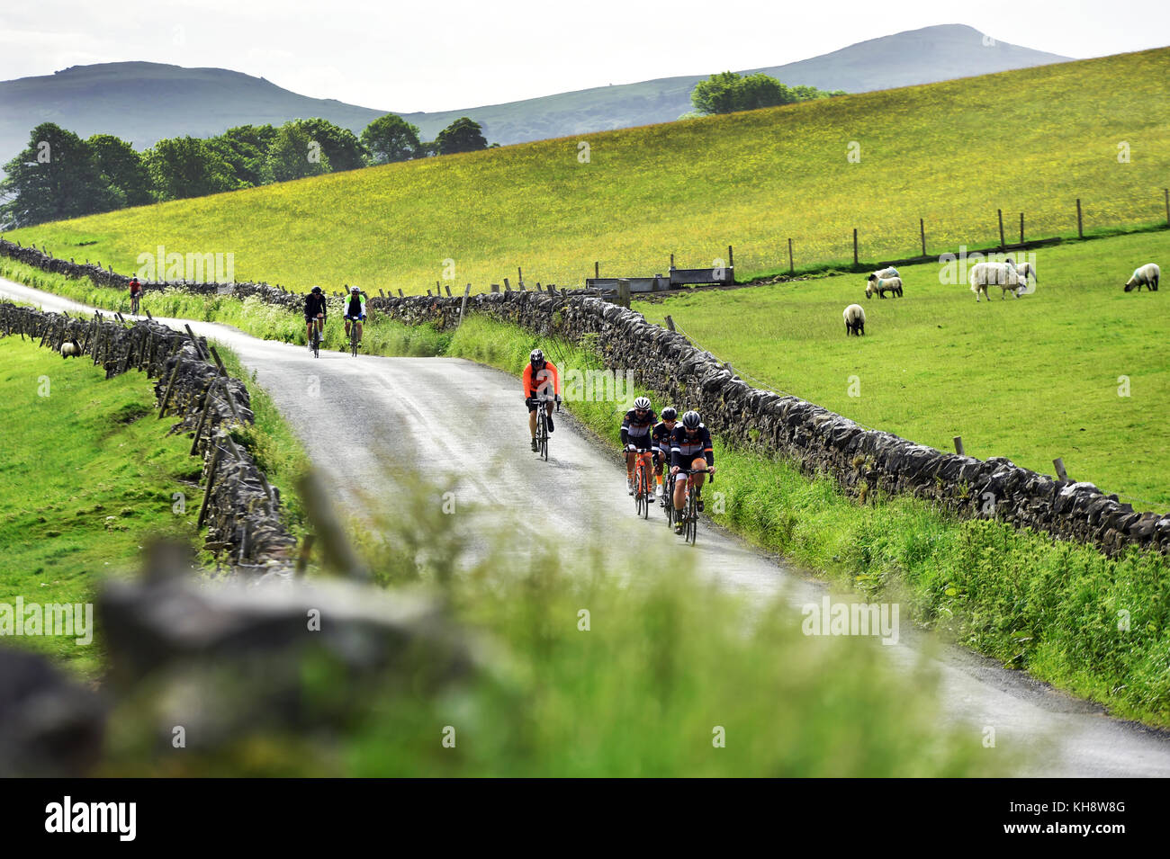 I ciclisti escursioni in bicicletta in una attività sportive lungo una strada di campagna nei pressi di Eston, Yorkshire Dales REGNO UNITO Foto Stock