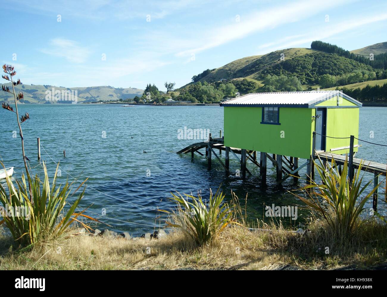 Il Boathouse, porto di Otago Isola del Sud della Nuova Zelanda Foto Stock