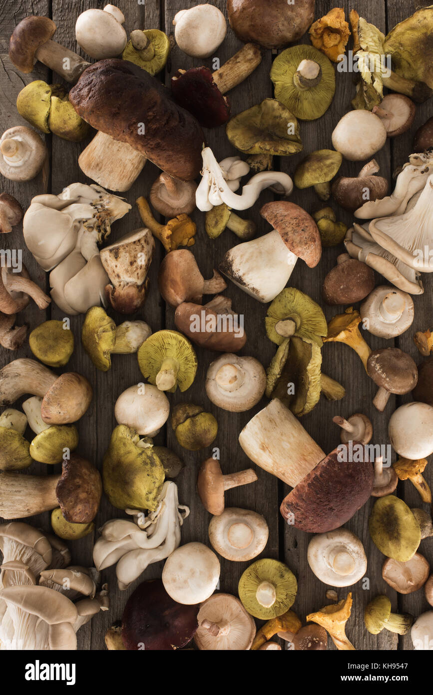 Diversi tipi di funghi su un tavolo di legno Foto stock - Alamy