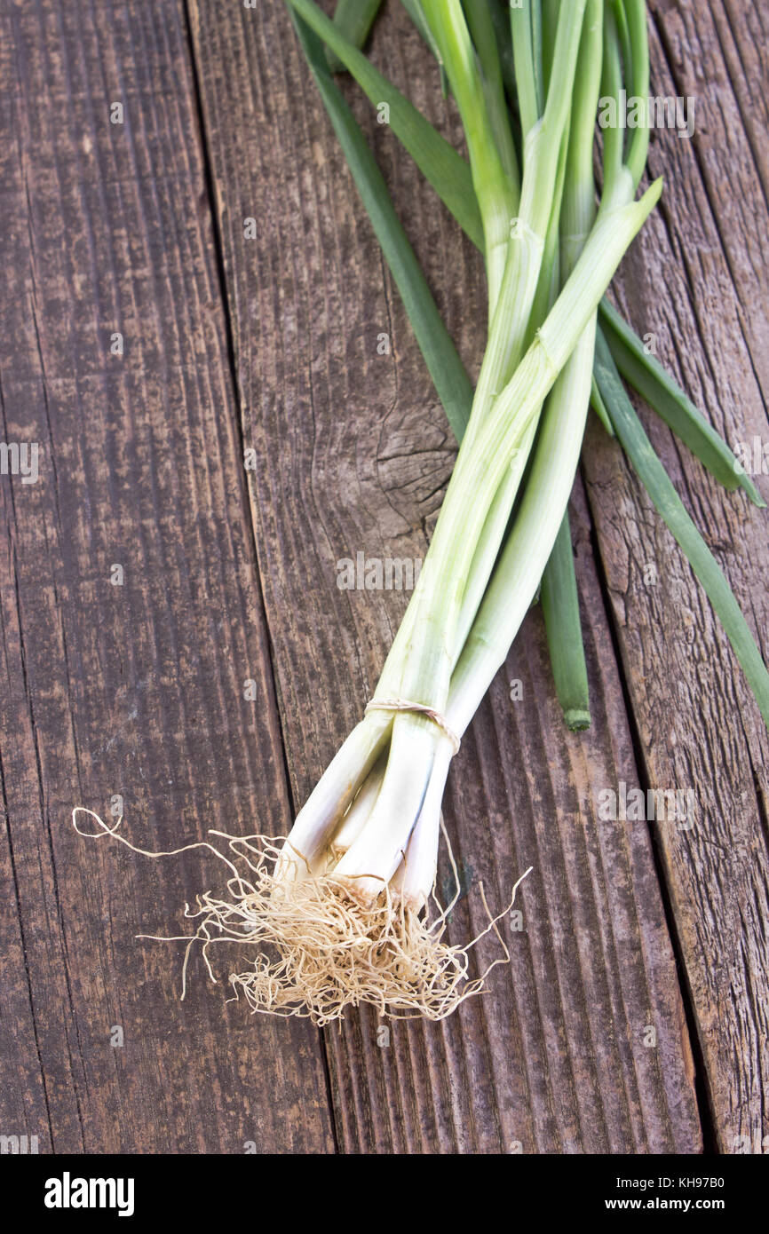 Giovani cipolla sul tavolo di legno Foto Stock