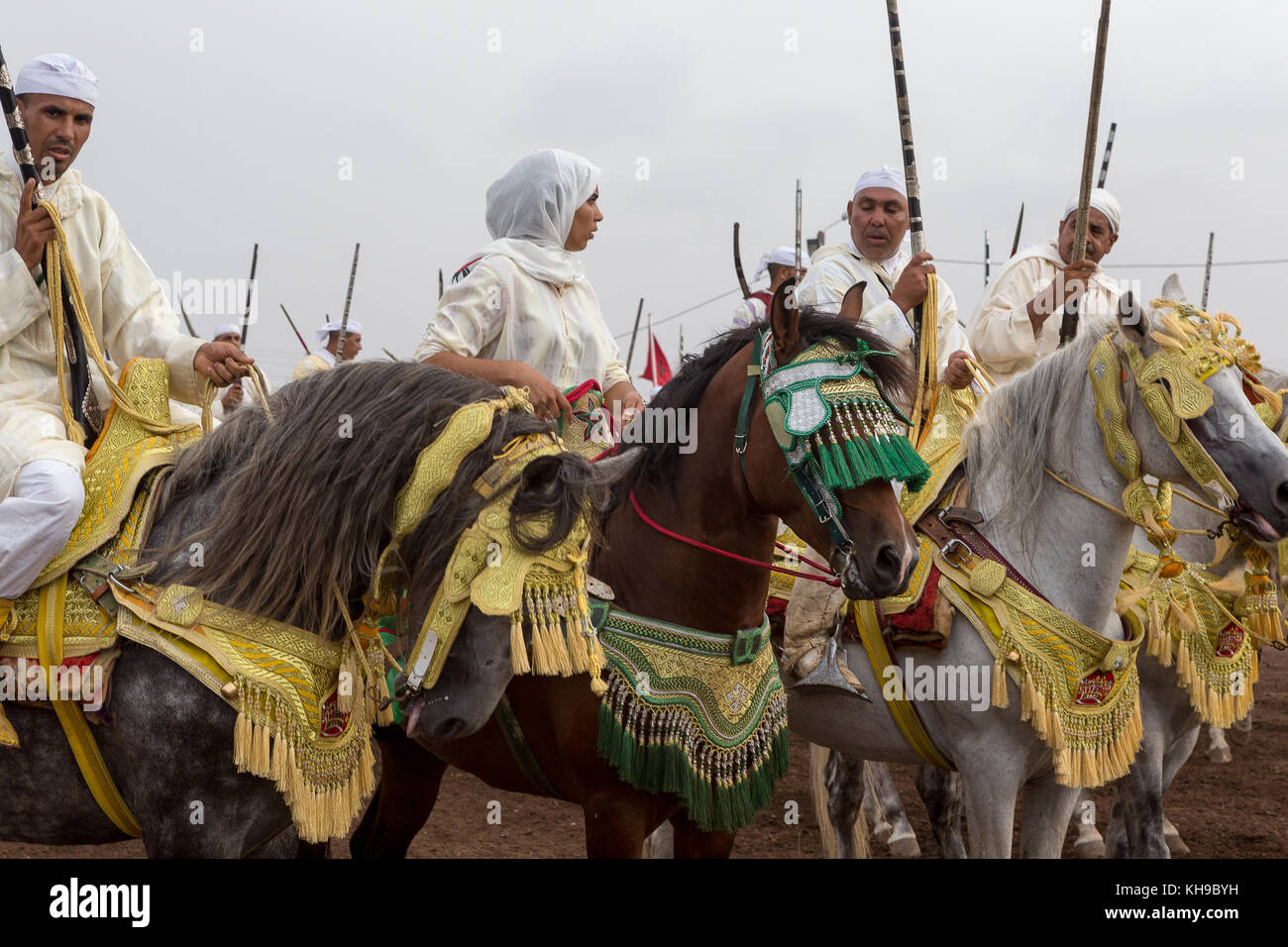 Fantasia è un tradizionale mostra di equitazione nel Maghreb eseguita durante le manifestazioni culturali e per chiudere magrebino festeggiamenti nuziali. Foto Stock