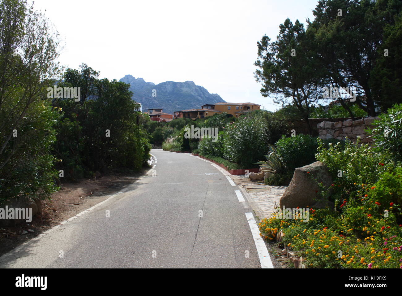 Giardini ben curati sul lato della strada a Porto Cervo, Sardegna, Italia. Foto Stock