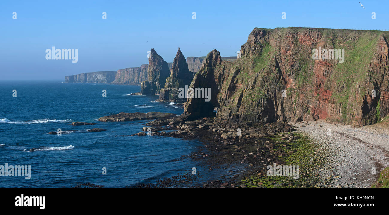 Duncansby pile, pinnacoli di roccia a sud di testa duncansby vicino a John O' semole, caithness, highland, Highlands scozzesi, Scotland, Regno Unito Foto Stock