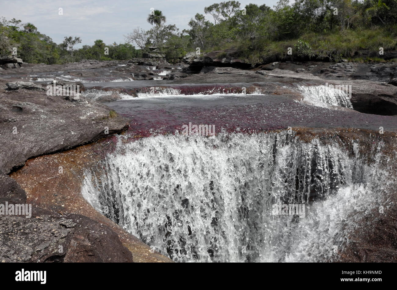 Rock-tagliare i fori in Cano Cristales Foto Stock