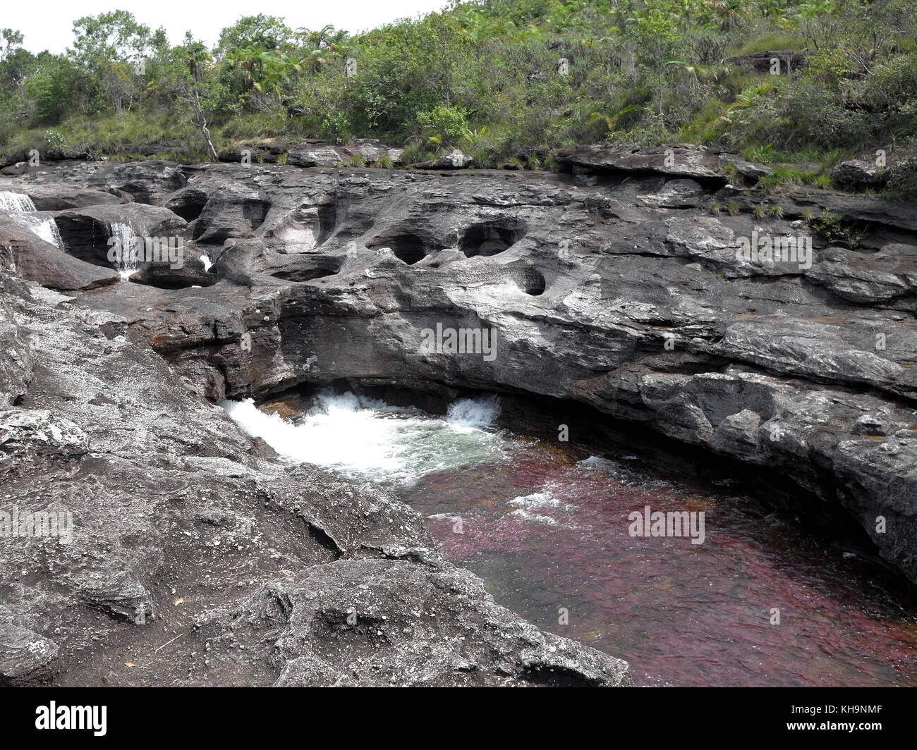 Los Ochos sezione di Cano Cristales Foto Stock