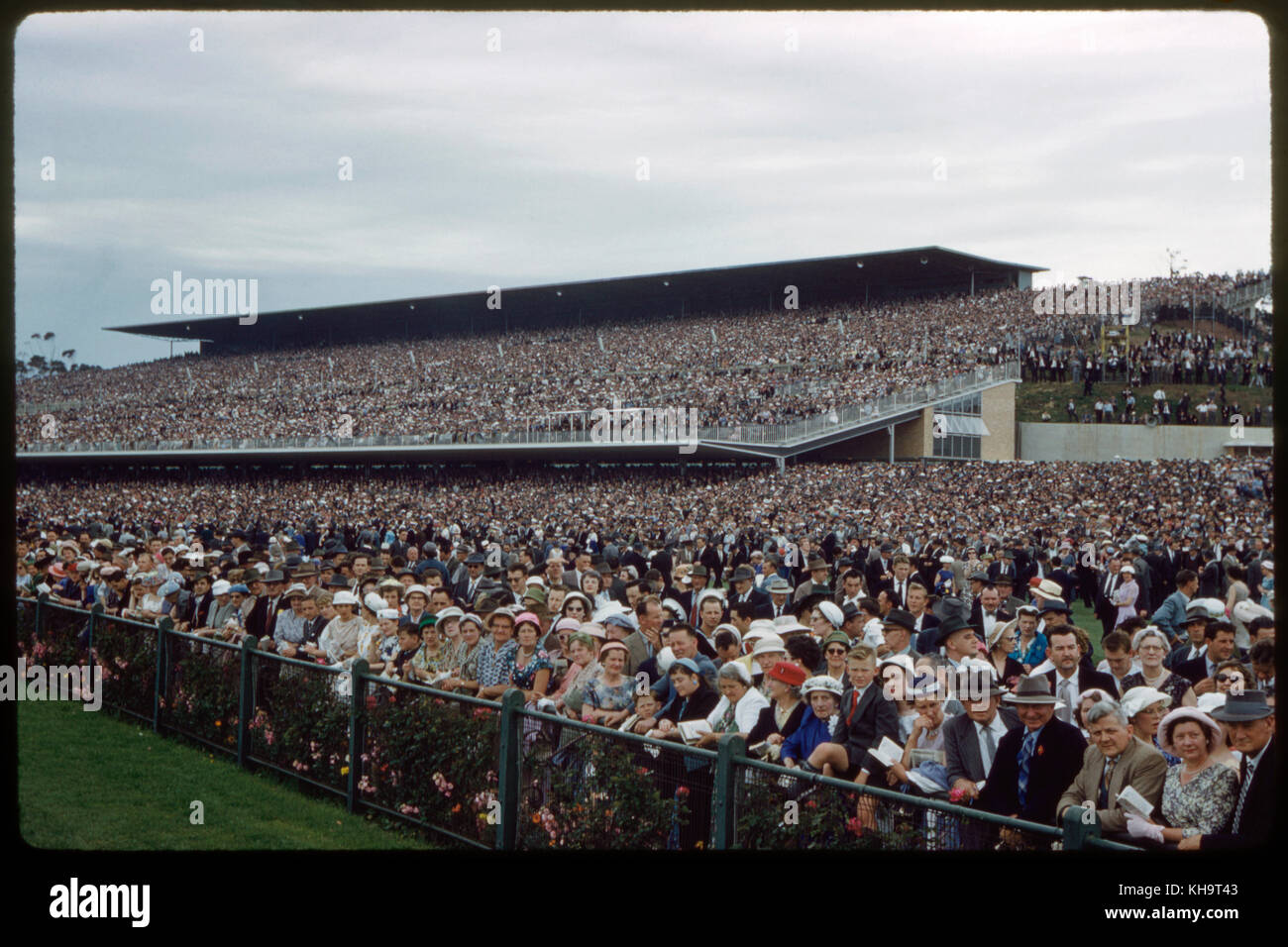 La folla guarda la Melbourne Cup, victoria racing club, Flemington Racecourse, Melbourne, Australia, novembre 1959 Foto Stock