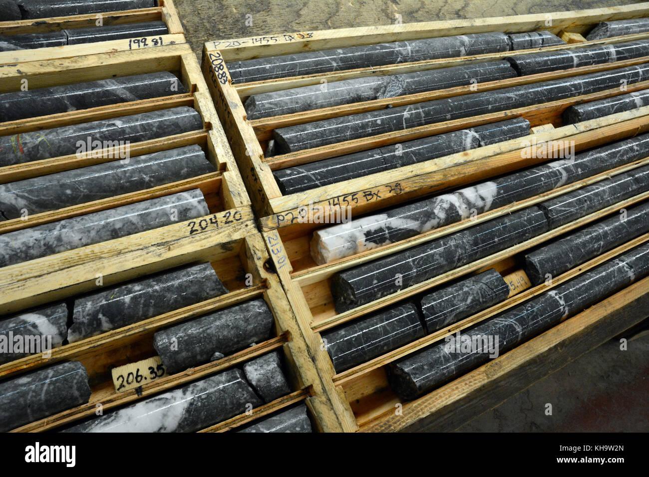 Nucleo di roccia campioni prelevati da una esplorazione mineraria azienda la prospezione di oro, vicino a Stewart, British Columbia, Canada. Foto Stock
