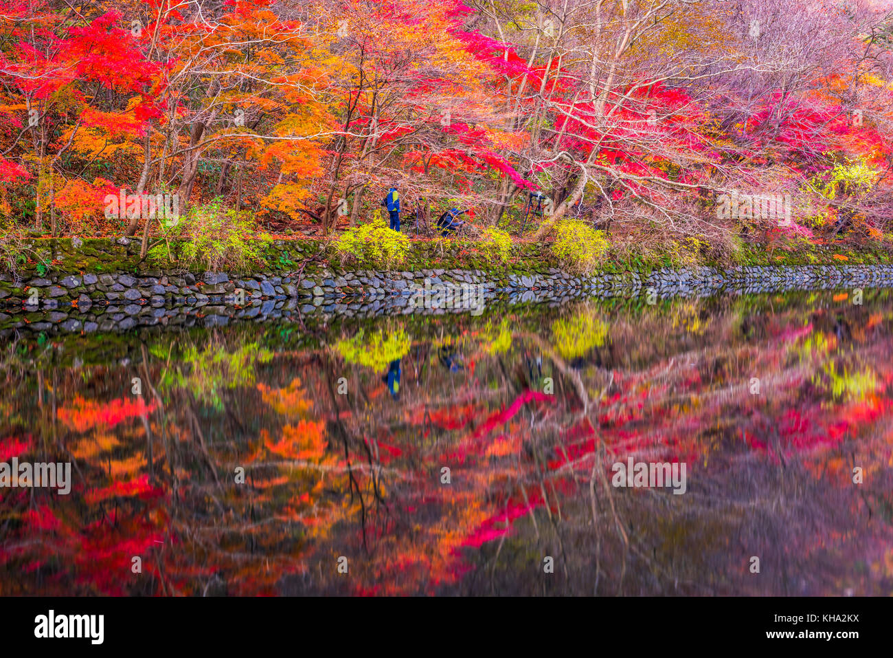 Autunno del Parco Nazionale di Naejangsan, Corea del Sud Foto Stock