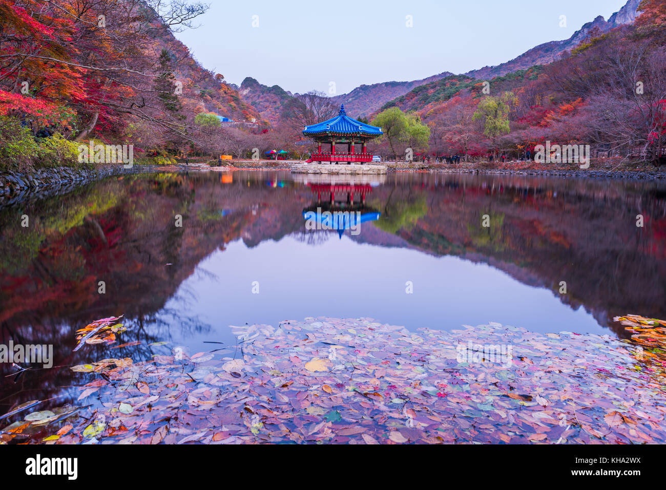 Autunno Naejangsan Parco Nazionale,Corea del Sud. Foto Stock