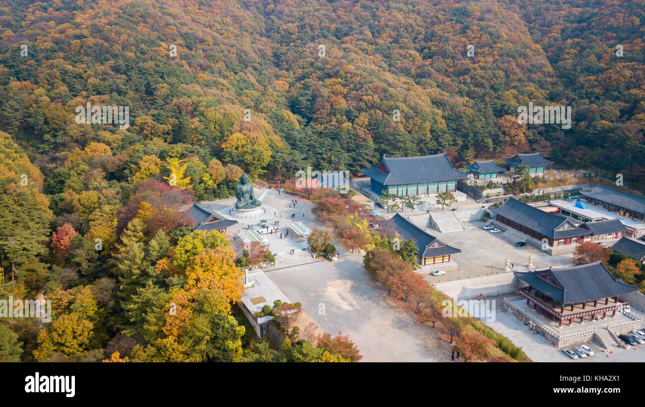 Vista aerea l'autunno della statua di Buddha nel tempio, Seoul COREA Foto Stock
