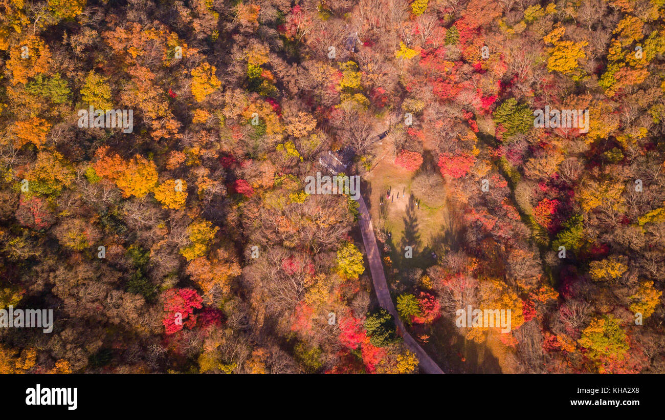 Vista aerea dell'autunno Naejangsan Parco Nazionale,Corea del Sud. Foto Stock