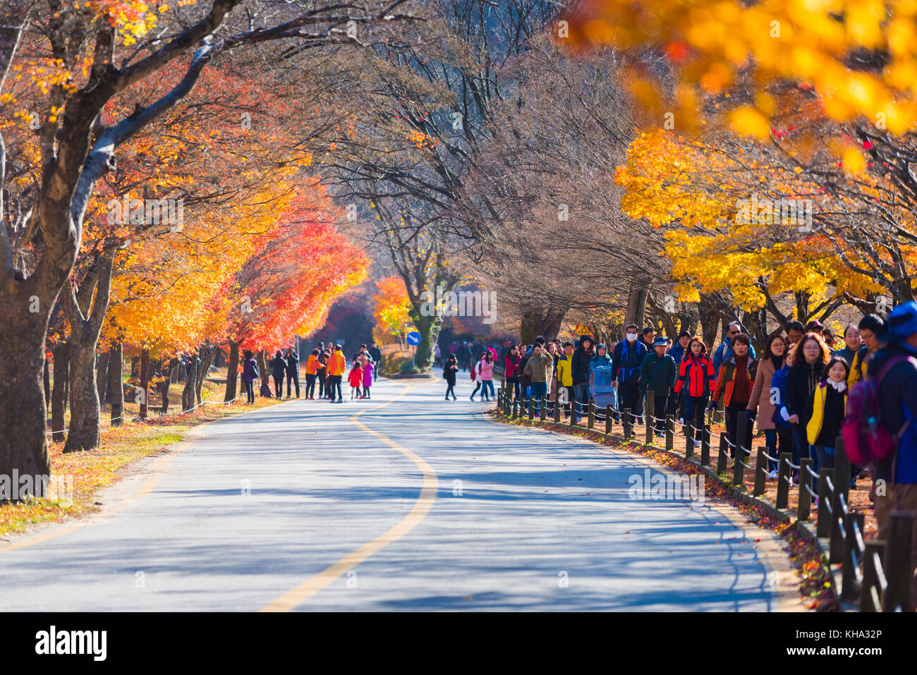 COREA DEL SUD - NOVEMBRE 2017: Autunno del Parco Nazionale Naejangsan, Corea del Sud. Foto Stock