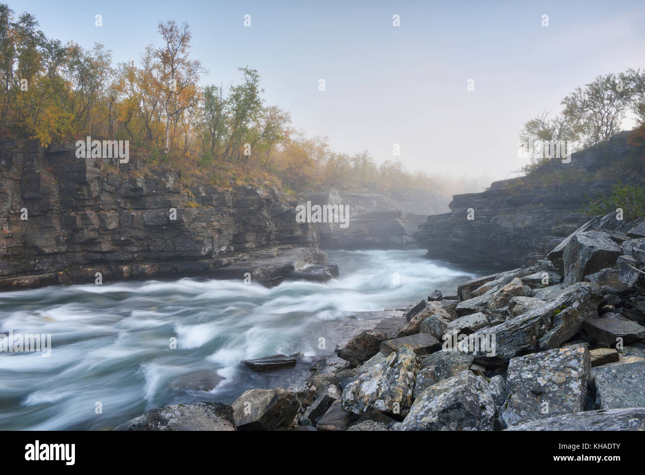 Fiume Fiume abiskojakka fluisce attraverso abisko canyon, paesaggio fluviale in autunno a nebbia di mattina, abisko national park, Svezia Foto Stock