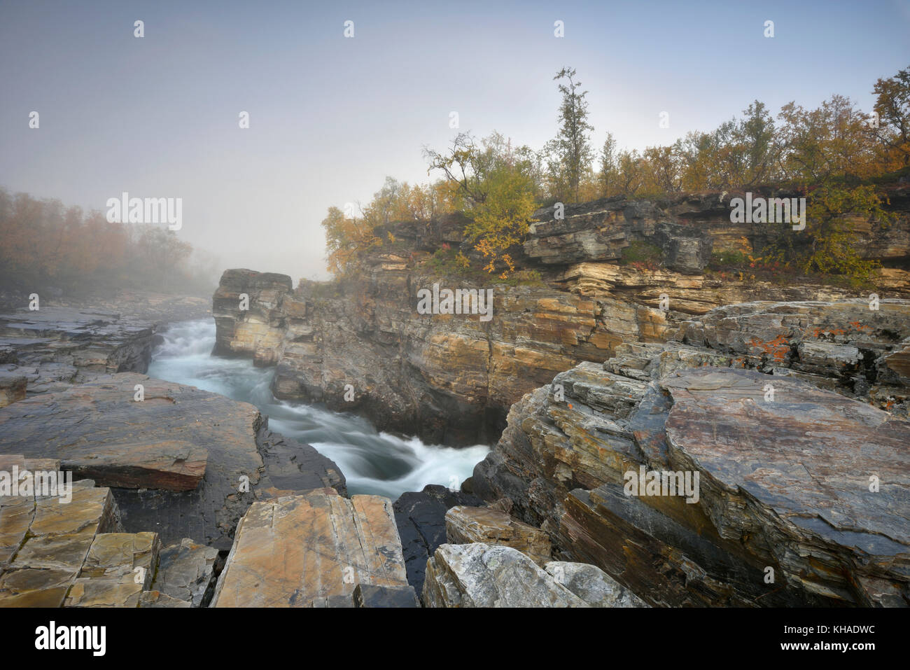 Fiume Fiume abiskojakka fluisce attraverso abisko canyon, paesaggio fluviale in autunno a nebbia di mattina, abisko national park, Svezia Foto Stock