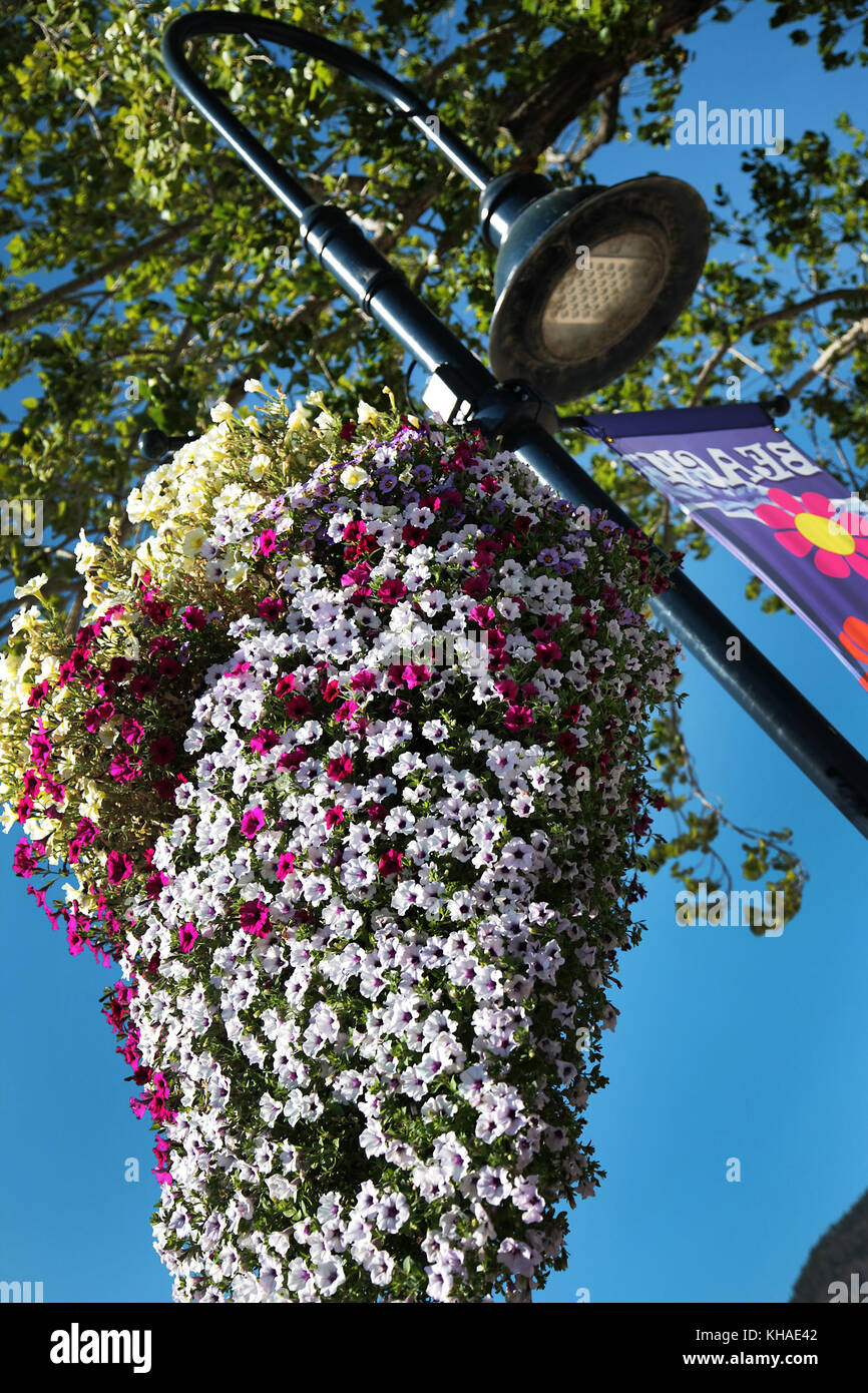Penticton della Columbia britannica in Canada nella colorata Okanagan Valley Foto Stock