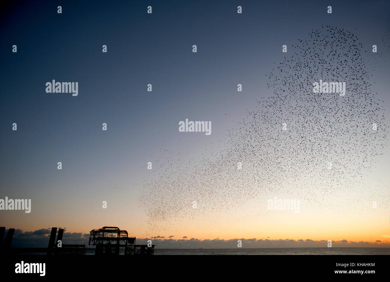 Murmuration sopra le rovine di brighton il molo ovest sulla costa meridionale dell'inghilterra. Un gregge storni eseguire acrobazie aeree sul molo al tramonto. Foto Stock