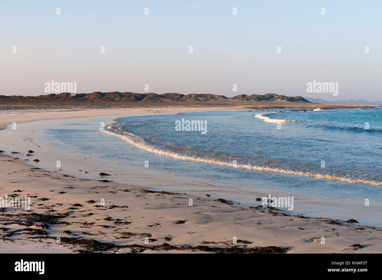 Isola di masirah, Oman. Foto Stock