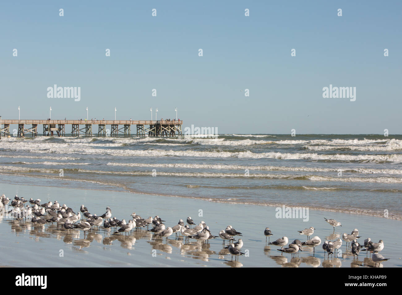 Ciclista sulla spiaggia nei pressi del molo con riflessioni. Foto Stock