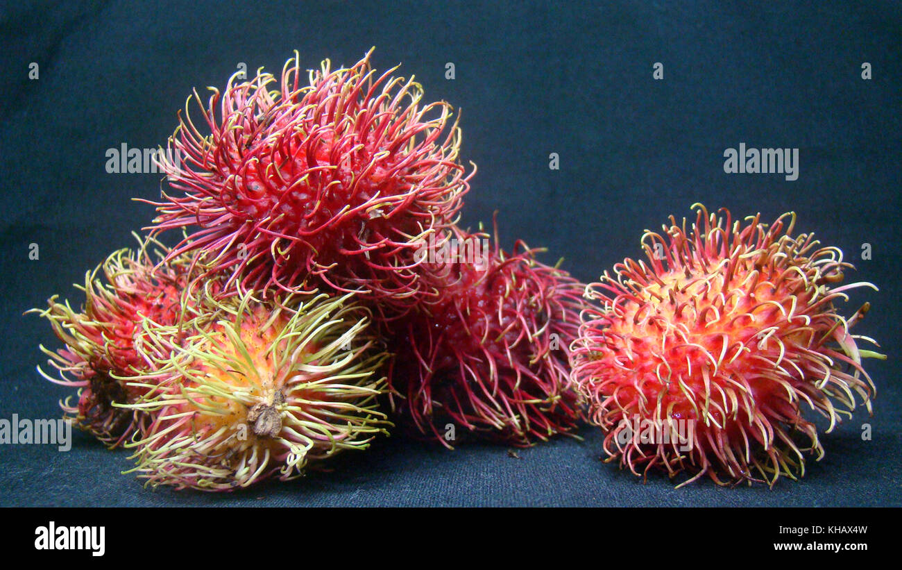 Rambutan Lychee frutti esotici Foto Stock