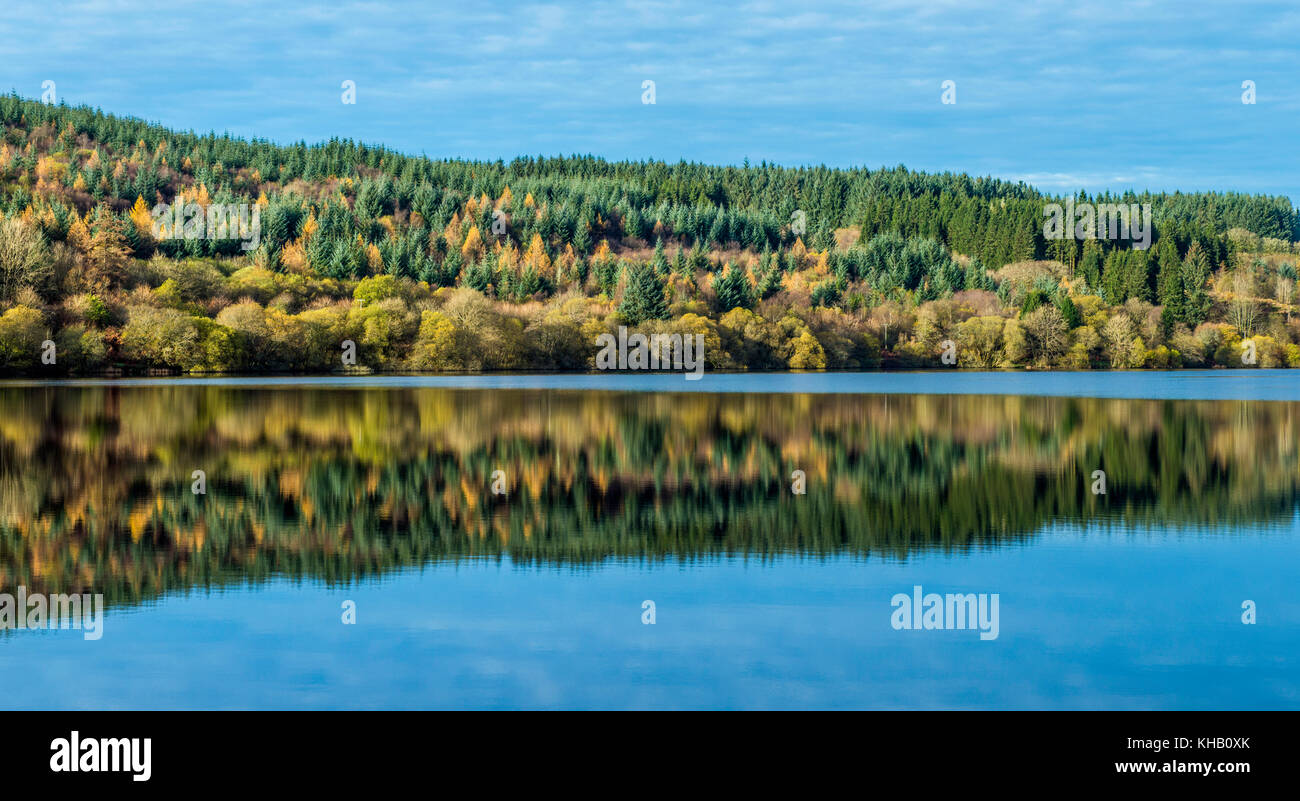 Alberi riflessi nel Llwyn Onn Reservoir Brecon Beacons National Park, Galles meridionale Foto Stock