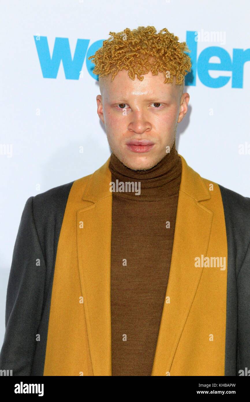 Los Angeles, CA, Stati Uniti d'America. Xiv nov, 2017. shaun ross presso gli arrivi di stupore premiere, il Regency village Theatre di Los Angeles, CA 14 novembre 2017. Credito: priscilla concedere/everett raccolta/alamy live news Foto Stock