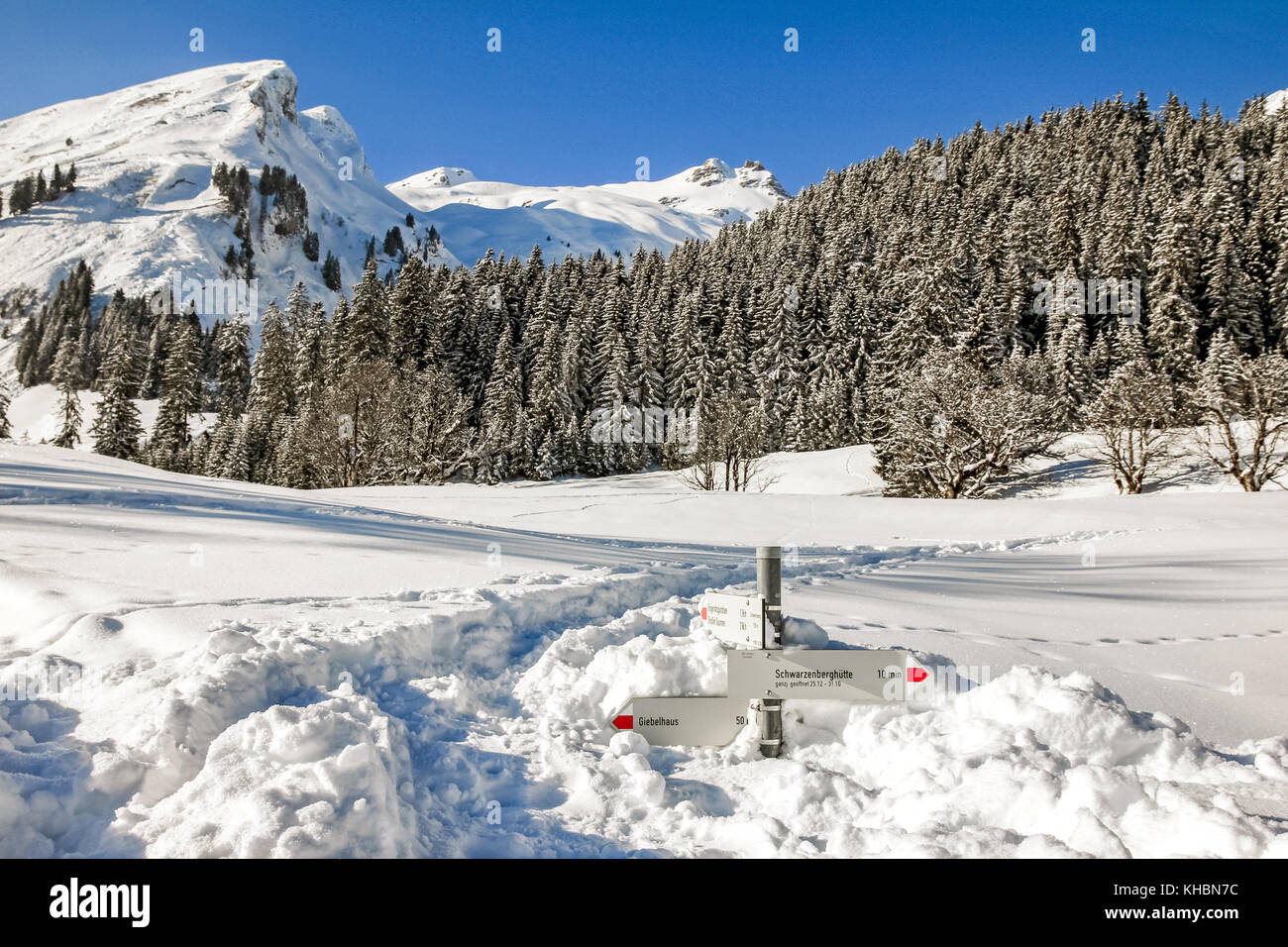 Sentiero escursionistico signpost bastoni fuori di neve profonda in montagne paesaggio invernale sulla giornata di sole. allgau, Baviera, Germania. Foto Stock