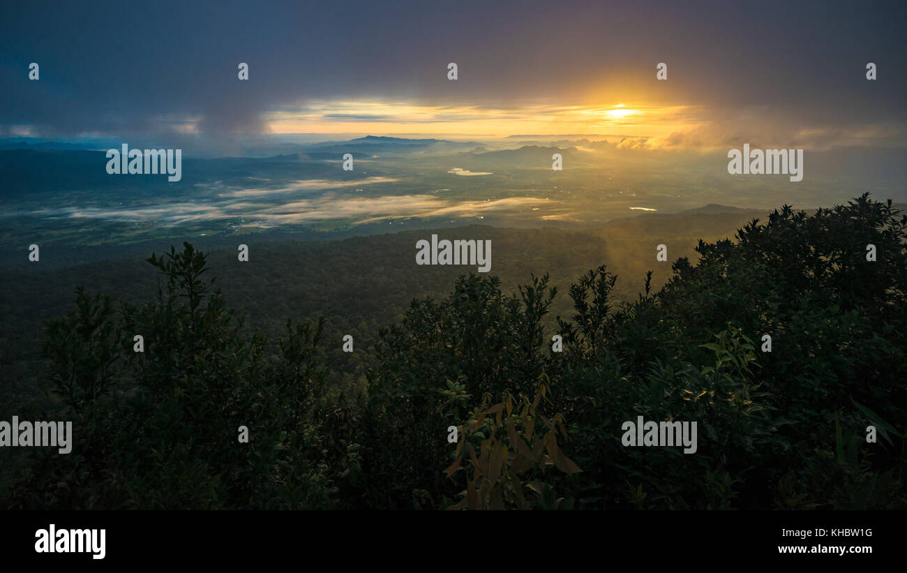 Alba a Phu Kra Dueng con nebbia, provincia di Loei, invisibile in Thailandia Foto Stock