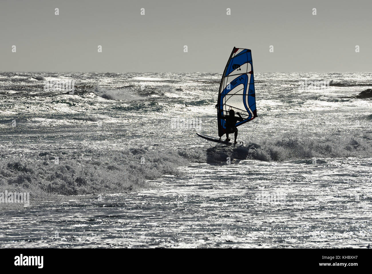 Surfer nel mare ondeggiante, retroilluminazione, maclear beach, a Cape Point e Penisola del Capo, West Cape, Sud Africa Foto Stock