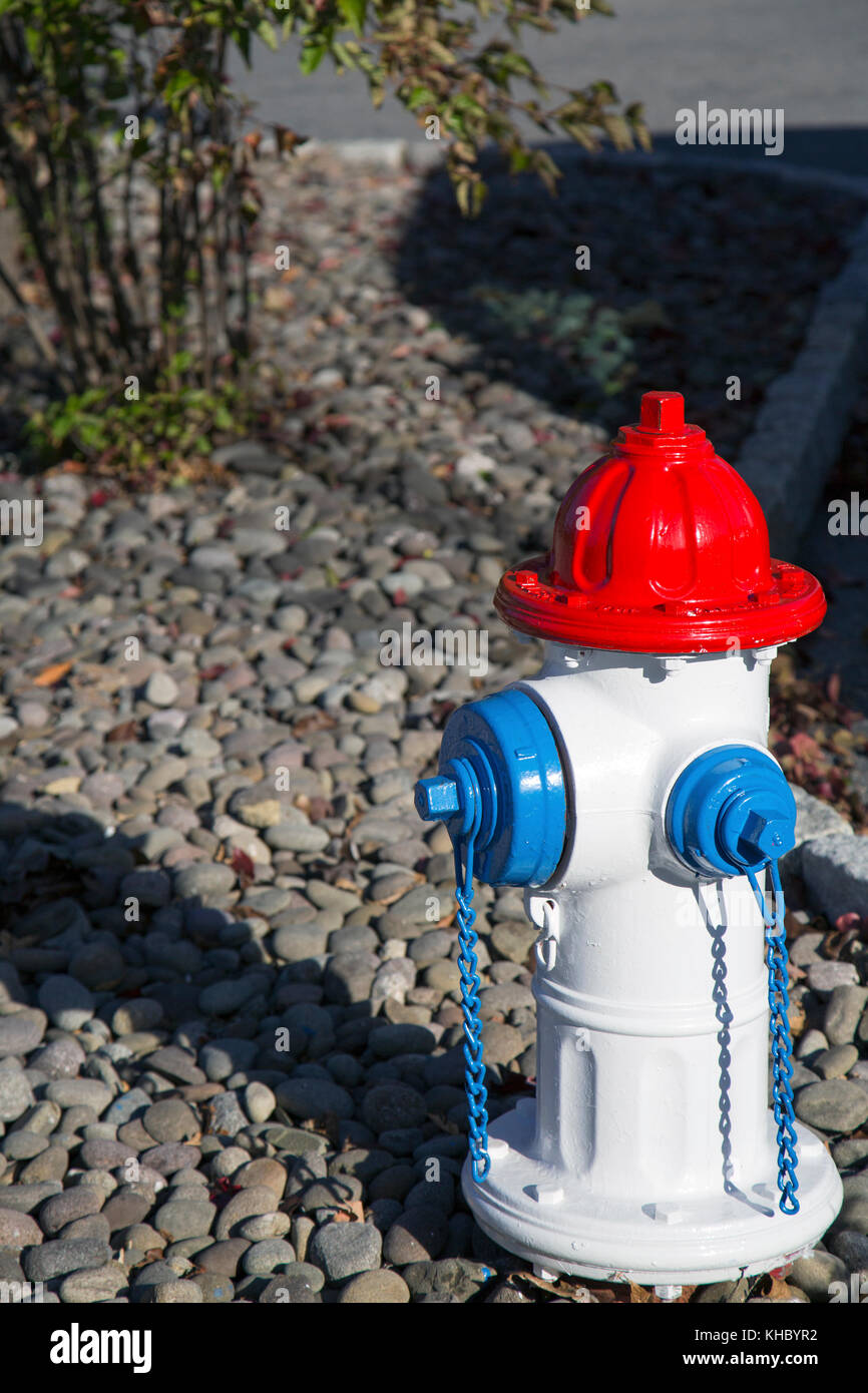 Colorato idrante di fuoco in un parcheggio. Foto Stock