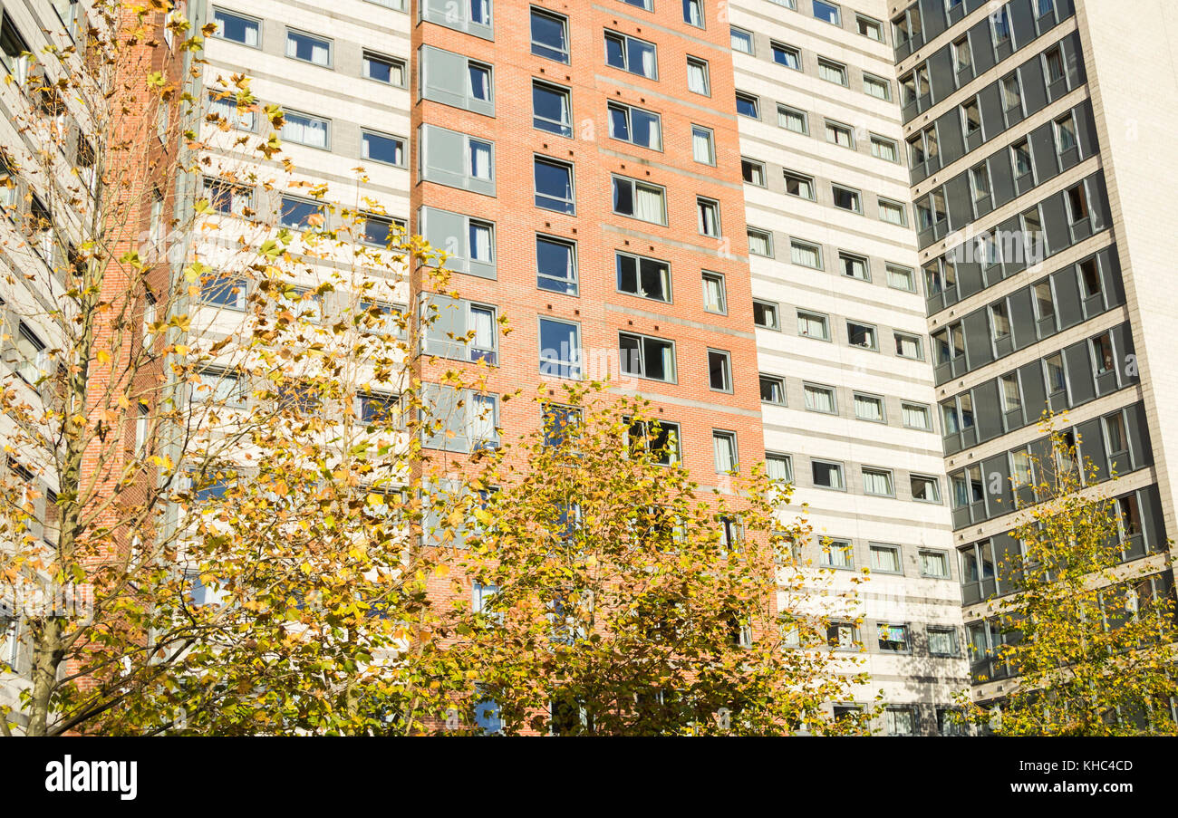 The Plaza, alloggio per studenti universitari a Leeds, West Yorkshire. REGNO UNITO Foto Stock