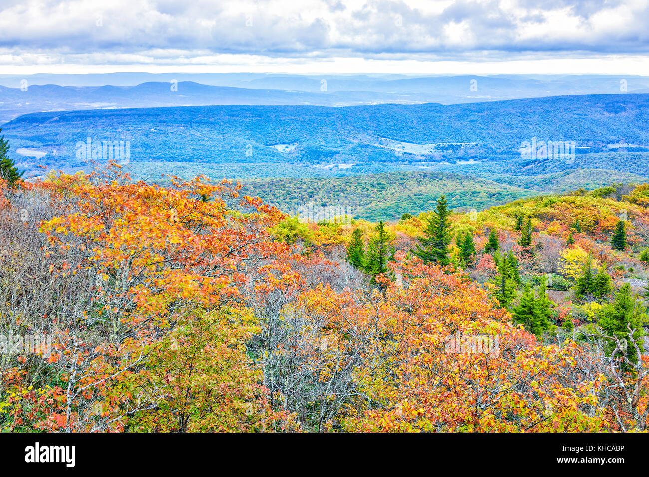 Mattina dark alba con cielo blu e giallo dorato orange fogliame di autunno in Dolly zolle, Orso rocce, West Virginia con si affacciano della valle di montagna, Foto Stock