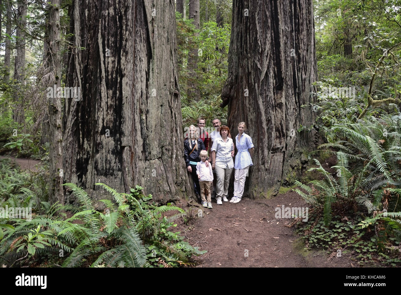 Foto di famiglia in USA National Park - Redwood Forest Foto Stock