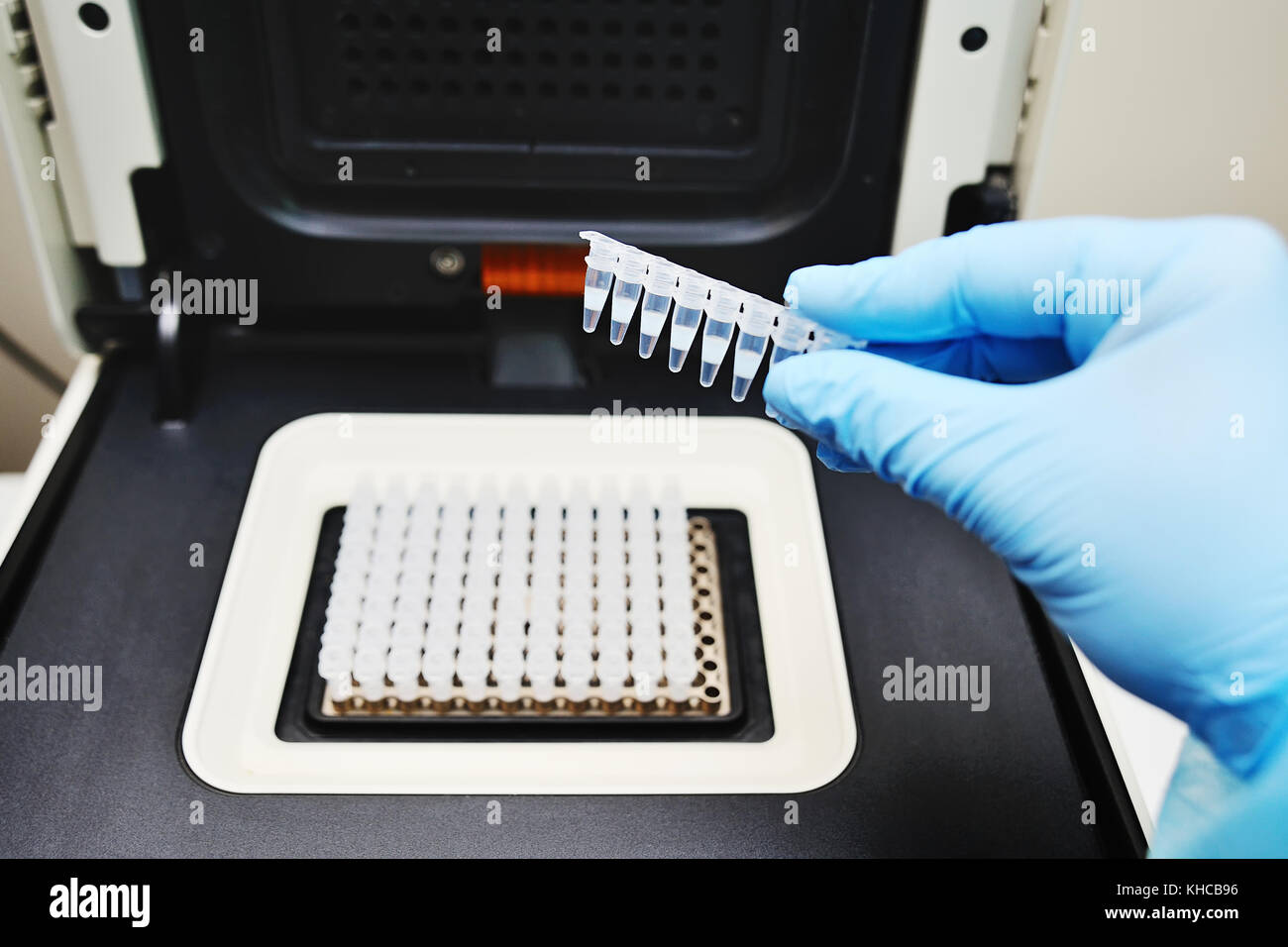 Termociclatore per dna e test di PCR Foto Stock