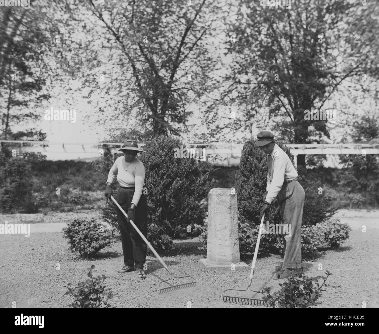 Donne afroamericane impiegate come giardinieri nel giardino di rose dei Giardini Botanici, Washington DC, 1943. Dalla Biblioteca pubblica di New York. Foto Stock